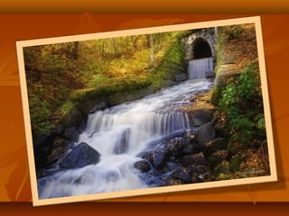 Моя країна - Україна