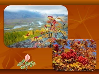 Моя країна - Україна