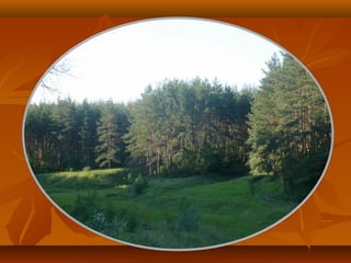 Моя країна - Україна