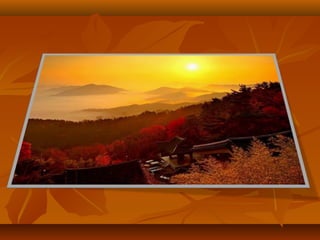 Моя країна - Україна