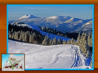 Моя країна - Україна