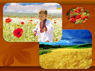 Моя країна - Україна