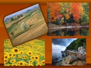 Моя країна - Україна