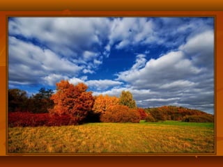 Моя країна - Україна