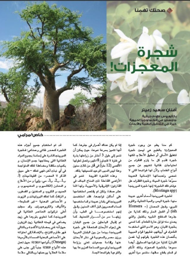 شجرة المعجزات Moringa