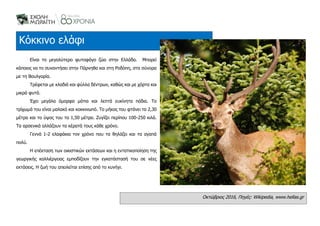 Είναι το μεγαλύτερο φυτοφάγο ζώο στην Ελλάδα. Μπορεί
κάποιος να το συναντήσει στην Πάρνηθα και στη Ροδόπη, στα σύνορα
με τ...