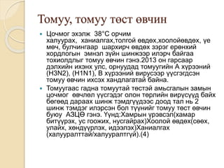 Амьсгалын замын халдварт өвчин | PPT