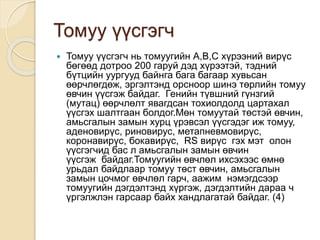 Амьсгалын замын халдварт өвчин | PPT