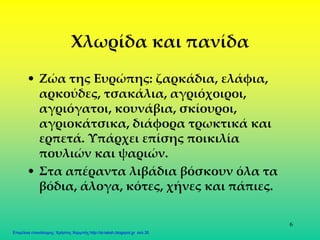 6
Χλωρίδα και πανίδα
• Ζώα της Ευρώπης: ζαρκάδια, ελάφια,
αρκούδες, τσακάλια, αγριόχοιροι,
αγριόγατοι, κουνάβια, σκίουροι,
αγριοκάτσικα, διάφορα τρωκτικά και
ερπετά. Υπάρχει επίσης ποικιλία
πουλιών και ψαριών.
• Στα απέραντα λιβάδια βόσκουν όλα τα
βόδια, άλογα, κότες, χήνες και πάπιες.
Επιμέλεια επανάληψης: Χρήστος Χαρμπής http://st-taksh.blogspot.gr σελ.35
 