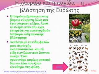 Η χλωρίδα και η πανίδα – η
βλάστηση της Ευρώπης
 Η Ευρώπη βρίσκεται στη
βόρεια εύκρατη ζώνη και
έχει εύκρατο κλίμα. Αυτό
το κλίμα είναι που έχει
επιτρέψει να αναπτυχθούν
διάφορα είδη φυσικής
βλάστησης.
 Ανάλογα με τα είδη φυτών
μιας περιοχής
αναπτύσσονται και τα
είδη των ζώων που ζουν σε
αυτήν. Έτσι
συναντάμε κυρίως κατοικί
δια και ζώα που ζουν
ελεύθερα στη φύση. ΠΙΣΩ
stkarapy
Επιμέλεια επανάληψης: Χρήστος Χαρμπής http://st-taksh.blogspot.gr σελ.65
 