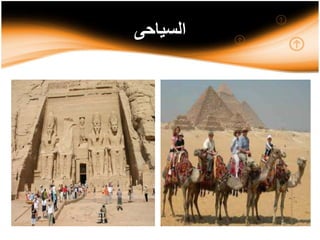 ‫السياحى‬
 