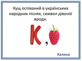 Кущ оспіваний в українських
народних піснях, символ дівочої
вроди.
Калина
Калина
 