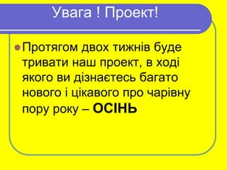 Якого числа миколая цього року