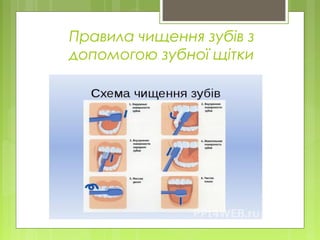 Правила чищення зубів з
допомогою зубної щітки
 