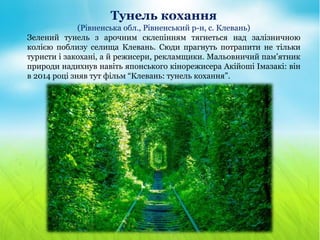 Тунель кохання
(Рівненська обл., Рівненський р-н, с. Клевань)
Зелений тунель з арочним склепінням тягнеться над залізничною
колією поблизу селища Клевань. Сюди прагнуть потрапити не тільки
туристи і закохані, а й режисери, рекламщики. Мальовничий пам’ятник
природи надихнув навіть японського кінорежисера Акійоші Імазакі: він
в 2014 році зняв тут фільм “Клевань: тунель кохання”.
 