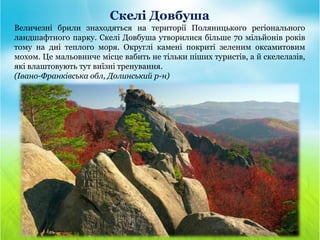 Скелі Довбуша
Величезні брили знаходяться на території Поляницького регіонального
ландшафтного парку. Скелі Довбуша утворилися більше 70 мільйонів років
тому на дні теплого моря. Округлі камені покриті зеленим оксамитовим
мохом. Це мальовниче місце вабить не тільки піших туристів, а й скелелазів,
які влаштовують тут виїзні тренування.
(Івано-Франківська обл, Долинський р-н)
 
