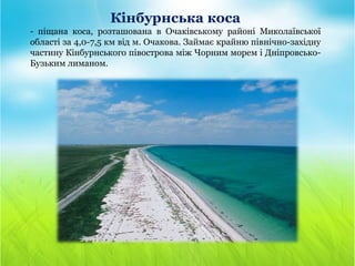 Кінбурнська коса
- піщана коса, розташована в Очаківському районі Миколаївської
області за 4,0-7,5 км від м. Очакова. Займає крайню північно-західну
частину Кінбурнського півострова між Чорним морем і Дніпровсько-
Бузьким лиманом.
 