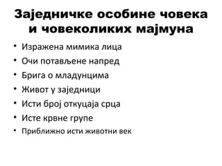 Заједничке особине човека
и човеколиких мајмуна
• Изражена мимика лица
• Очи потављене напред
• Брига о младунцима
• Живот у заједници
• Исти број откуцаја срца
• Исте крвне групе
• Приближно исти животни век
 