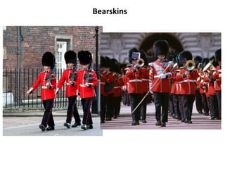 Bearskins
 
