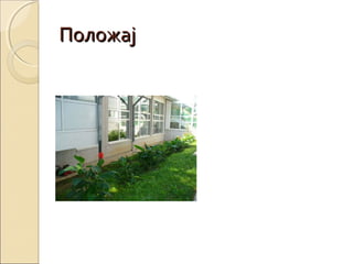 основна школа борислав пекић | PPT