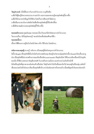 3
วัตถุประสงค์ (สิ่งที่ต้องการในการทาโครงงาน ระบุเป็นข้อ)
1.เพื่อให้ผู้คนรู้จักความสามารถ ความน่ารัก และความฉลาดรอบรู้ของสุนัขพันธุ์นี้มากขึ้น
2.เพื่อให้สามารถนาข้อมูลไปใช้ประโยชน์ในการศึกษาทาวิจัยต่างๆ
3.เพื่อเป็นแนวทางในการตัดสินใจเพื่อเลือกสุนัขพันธุ์นี้เป็นสัตว์เลี้ยง
4.เพื่อศึกษาพฤติกรรมของสุนัขพันธุ์นี้ให้มากขึ้น
ขอบเขตโครงงาน (คุณลักษณะ ขอบเขต เงื่อนไขและข้อจากัดของการทาโครงงาน)
โครงงานเรื่อง ‘บีเกิ้ลสุนัขแสนรู้’ ของนักเรียนชั้นมัธยมศึกษาปีที่ 6
ขอบเขตเนื้อหา
เนื้อหาใช้ศึกษาความรู้ต่อในวิชาชีววิทยา หรือ ใช้ในประโยชน์ต่างๆ
หลักการและทฤษฎี (ความรู้ หลักการ หรือทฤษฎีที่สนับสนุนการทาโครงงาน)
บีเกิ้ล (Beagle) เป็นสุนัขที่มีถิ่นกาเนิดในประเทศอังกฤษ จัดอยู่ในจาพวกกลุ่มสุนัขล่าเนื้อ (Hound) มีขนสั้นและหู
ปรก เป็นสุนัขที่มีประสาทด้านการดมกลิ่นเป็นเลิศ (scent hounds) ปัจจุบันบีเกิล ได้รับการเลือกเป็นหนึ่งในสุนัข
ดมกลิ่น ที่ใช้ตรวจสอบหาวัตถุต้องสงสัย ในงานด้านความมั่นคง และทางานร่วมกับเจ้าหน้าที่
บีเกิลเป็นสุนัขที่สุภาพ พวกมันค่อนข้างเป็นมิตร ไม่ดุร้ายเกินไปหรือเฉื่อยชาเกินไป ชอบอยู่กันเป็นกลุ่ม แต่มันก็
เชื่องคนง่ายเกินจึงไม่เหมาะที่จะเป็นสุนัขเฝ้าบ้าน ทว่ามันยังคงเห่าหรือหอนบ้าง เมื่อเผชิญหน้ากับคนแปลกหน้า
 