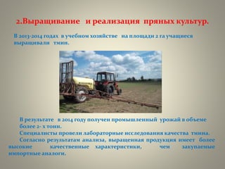 2.Выращивание и реализация пряных культур.
В 2013-2014 годах в учебном хозяйстве на площади 2 га учащиеся
выращивали тмин.
В результате в 2014 году получен промышленный урожай в объеме
более 2- х тонн.
Специалисты провели лабораторные исследования качества тмина.
Согласно результатам анализа, выращенная продукция имеет более
высокие качественные характеристики, чем закупаемые
импортные аналоги.
 