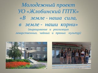 Молодежный проект
УО «Жлобинский ГПТК»
«В земле - наша сила,
в земле - наши корни»
(выращивание и реализация
лекарственных, чайных и пряных культур)
 
