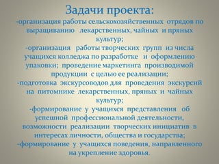 Задачи проекта:
-организация работы сельскохозяйственных отрядов по
выращиванию лекарственных, чайных и пряных
культур;
-организация работы творческих групп из числа
учащихся колледжа по разработке и оформлению
упаковки; проведение маркетинга производимой
продукции с целью ее реализации;
-подготовка экскурсоводов для проведения экскурсий
на питомнике лекарственных, пряных и чайных
культур;
-формирование у учащихся представления об
успешной профессиональной деятельности,
возможности реализации творческих инициатив в
интересах личности, общества и государства;
-формирование у учащихся поведения, направленного
на укрепление здоровья.
 