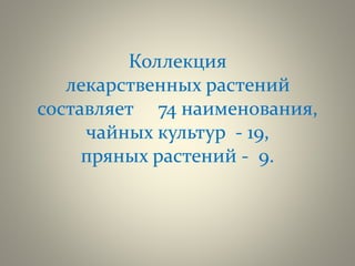 Коллекция
лекарственных растений
составляет 74 наименования,
чайных культур - 19,
пряных растений - 9.
 