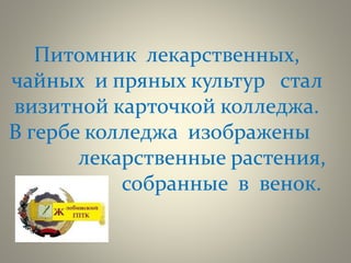 Питомник лекарственных,
чайных и пряных культур стал
визитной карточкой колледжа.
В гербе колледжа изображены
лекарственные растения,
собранные в венок.
 