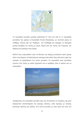 8
Το ευρωπαϊκό μονοπάτι μεγάλης απόστασης Ε1 είναι ένα από τα 11 ευρωπαϊκά
μονοπάτια που χάραξε η Ευρωπαϊκή Ένωση Πεζοπορίας, με συνολικό μήκος τα
4.600χλμ. Ξεκινά από την Νορβηγία στο Nordkapp και διασχίζει το Kattegant
μεταξύ Σουηδίας και Δανίας με πλοίο. Περνά από την Δανία, την Γερμανία, την
Ελβετία και καταλήγει στην Ιταλία.
Πολλοί ίσως αναρωτηθούν γιατί να θέλουμε την ύπαρξη μονοπατιών αφού έχουμε
πλέον τους δρόμους. Η απάντηση στο ερώτημα πολύ απλή, ιδίως από όσους είχαν την
ευκαιρία να περπατήσουν ένα τέτοιο μονοπάτι. Τα ευρωπαϊκά αυτά μονοπάτια
ενώνουν τους λαούς με τρόπο ξεχωριστό και οι ορειβάτες ήταν οι πρώτοι που το
κατανόησαν.
Διασχίζοντας ένα ευρωπαϊκό μονοπάτι έχεις την δυνατότητα να γνωρίσεις, όχι μόνο
διαφορετικά οικοσυστήματα και περιοχές κάλλους, αλλά περιοχές με ιστορία,
πολιτισμό, θρύλους και μύθους. Ένα τέτοιο μονοπάτι με λίγα λόγια σου δίνει την
 