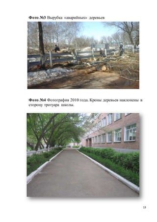 13
Фото №3 Вырубка «аварийных» деревьев
Фото №4 Фотография 2010 года. Кроны деревьев наклонены в
сторону тротуара школы.
 