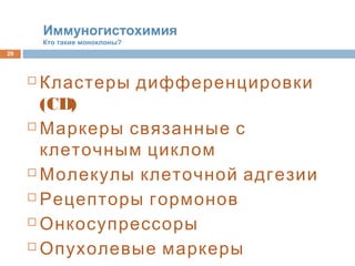  Кластеры дифференцировки
(CD)
 Маркеры связанные с
клеточным циклом
 Молекулы клеточной адгезии
 Рецепторы гормонов
 Онкосупрессоры
 Опухолевые маркеры
29
Иммуногистохимия
Кто такие моноклоны?
 