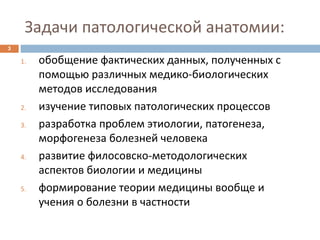 Задачи патологической анатомии:
3
1. обобщение фактических данных, полученных с
помощью различных медико-биологических
методов исследования
2. изучение типовых патологических процессов
3. разработка проблем этиологии, патогенеза,
морфогенеза болезней человека
4. развитие филосовско-методологических
аспектов биологии и медицины
5. формирование теории медицины вообще и
учения о болезни в частности
 