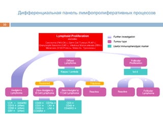 33
Дифференциальная панель лимфопролиферативных процессов
 