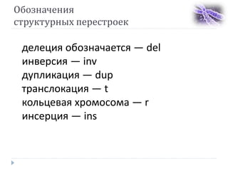 Обозначения
структурных перестроек
делеция обозначается — del
инверсия — inv
дупликация — dup
транслокация — t
кольцевая хромосома — r
инсерция — ins
 