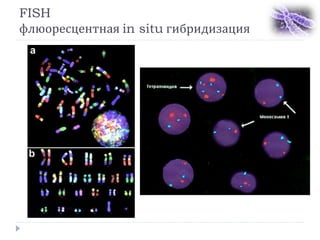 FISH
флюоресцентная in situ гибридизация
 