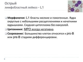 Острый
лимфобластный лейкоз - L1
 Морфология: L1 бласты мелкие и гомогенные. Ядра
округлые с небольшими расщеплениями и нечеткими
ядрышками. Скудная цитоплазма без вакуолей.
 Цитохимия: MPO всегда негативна.
 Созревание: Большинство клеток относятся к pro-B
или pre-B стадиям дифференцировки.
 