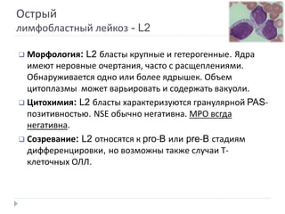 Острый
лимфобластный лейкоз - L2
 Морфология: L2 бласты крупные и гетерогенные. Ядра
имеют неровные очертания, часто с расщеплениями.
Обнаруживается одно или более ядрышек. Объем
цитоплазмы может варьировать и содержать вакуоли.
 Цитохимия: L2 бласты характеризуются гранулярной PAS-
позитивностью. NSE обычно негативна. MPO всгда
негативна.
 Созревание: L2 относятся к pro-B или pre-B стадиям
дифференцировки, но возможны также случаи Т-
клеточных ОЛЛ.
 