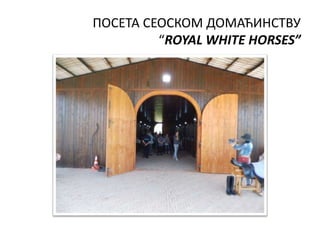 ПОСЕТА СЕОСКОМ ДОМАЋИНСТВУ
“ROYAL WHITE HORSES”
 