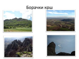 Борачки крш
 