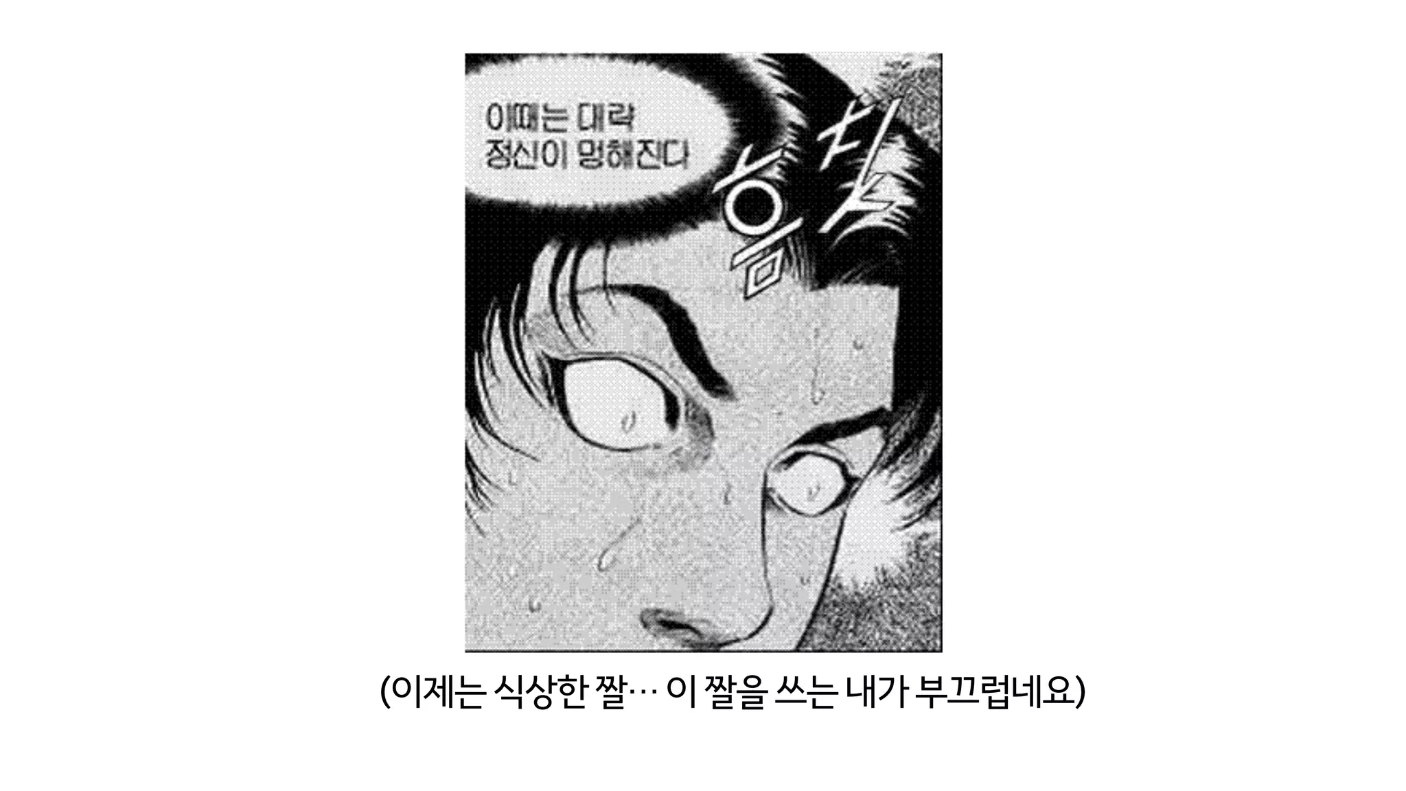 (이제는식상한짤…이짤을쓰는내가부끄럽네요)
 