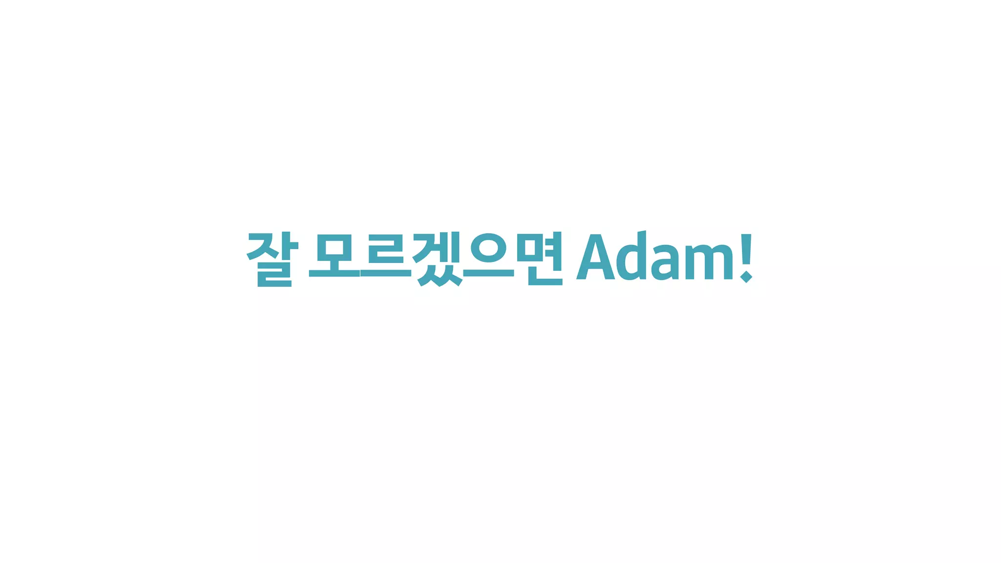 잘모르겠으면Adam!
 