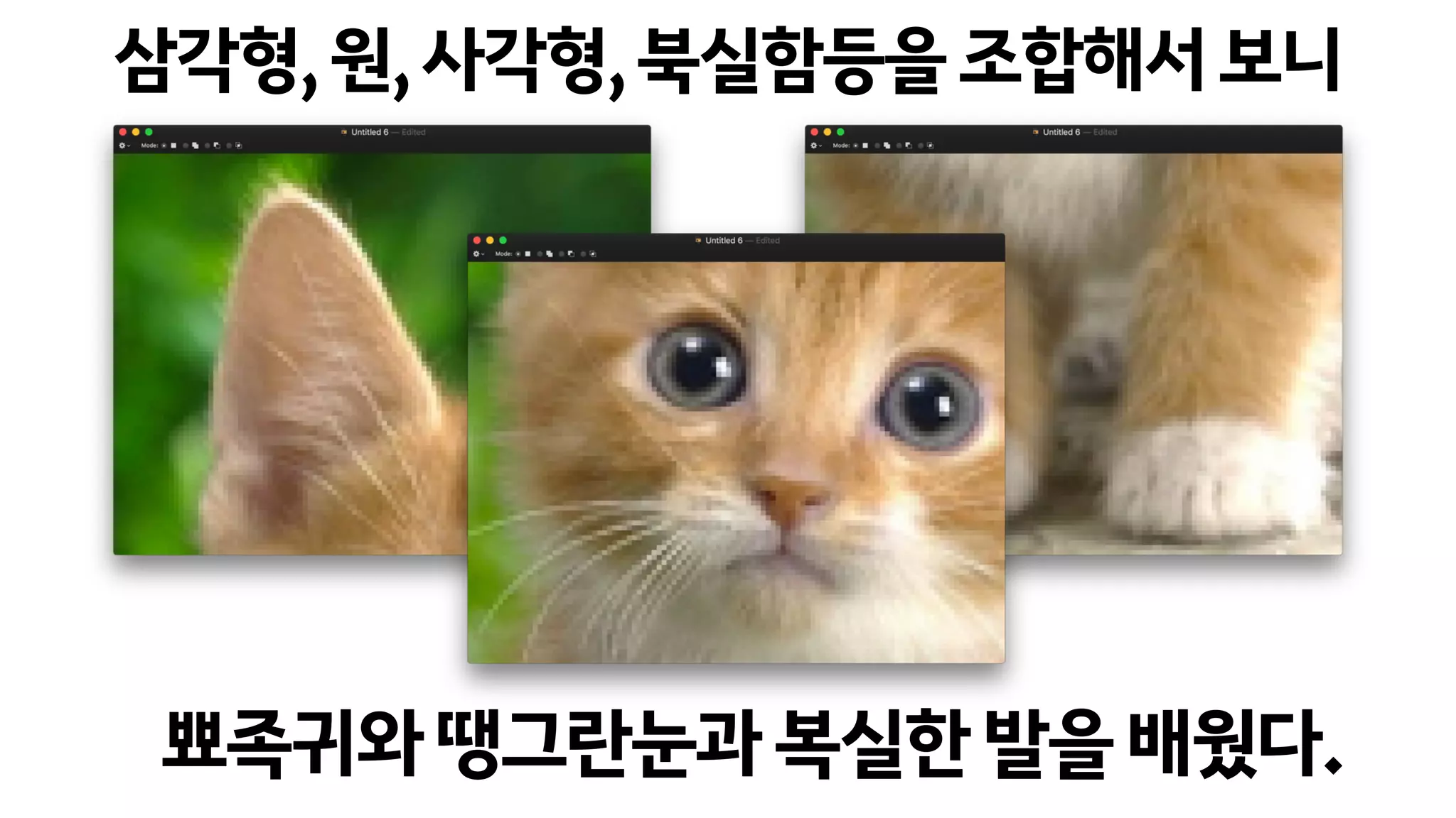 삼각형,원,사각형,북실함등을조합해서보니
뾰족귀와땡그란눈과복실한발을배웠다.
 