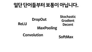 일단단어들부터보통이아닙니다.
ReLU
DropOut
MaxPooling
Stochastic
Gradient
Decent
Convolution
SoftMax
 