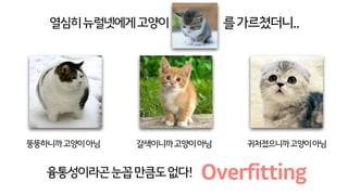 열심히뉴럴넷에게고양이
뚱뚱하니까고양이아님 갈색이니까고양이아님 귀처졌으니까고양이아님
를가르쳤더니..
융통성이라곤눈꼽만큼도없다! Overfitting
 