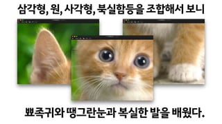 삼각형,원,사각형,북실함등을조합해서보니
뾰족귀와땡그란눈과복실한발을배웠다.
 