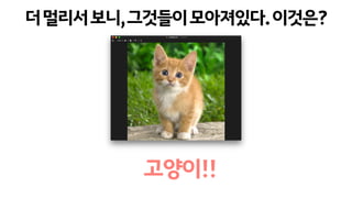 더멀리서보니,그것들이모아져있다.이것은?
고양이!!
 