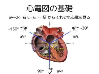 心電図の基礎
aV~:R=右 L=左 F=足 からそれぞれ心臓を見る
-30°
90°
-150°
aVL
aVF
aVR
 