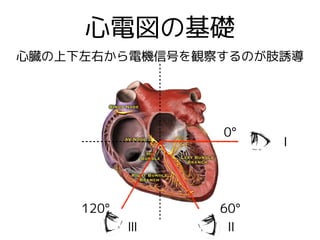 心電図の基礎
心臓の上下左右から電機信号を観察するのが肢誘導
Ⅰ
ⅡⅢ
0°
60°120°
 